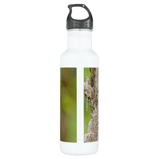 RoodborstSapsucker Woodpecker in het bos Waterfles (Achterkant)