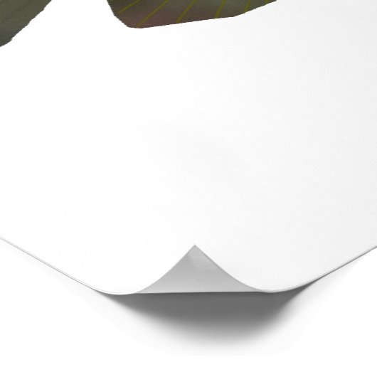 Roodborstvorming Poster (Hoek)