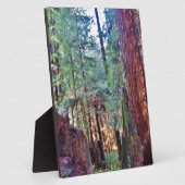 Roodbossen Serie #2: Door de bomen Fotoplaat (Zijkant)