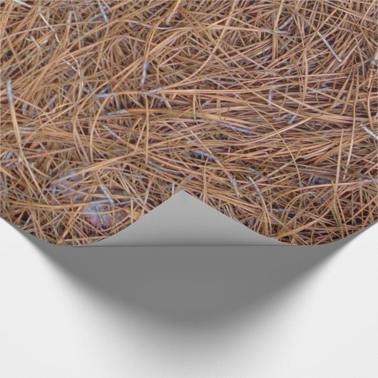 Roodbruine naalden van roodbruine pijnbomen, foto cadeaupapier (Hoek)