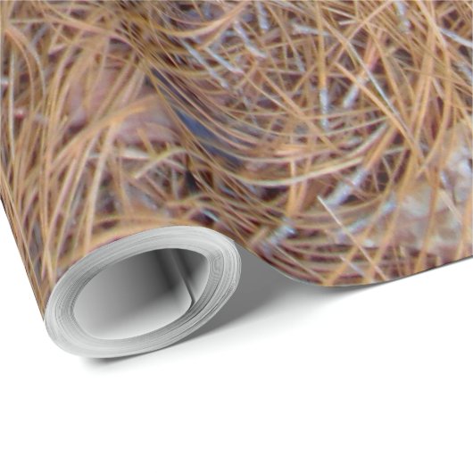 Roodbruine naalden van roodbruine pijnbomen, foto cadeaupapier (Rol Hoek)