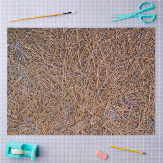 Roodbruine naalden van roodbruine pijnbomen, foto tissuepapier (Craft)