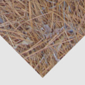 Roodbruine naalden van roodbruine pijnbomen, foto tissuepapier (Detail)