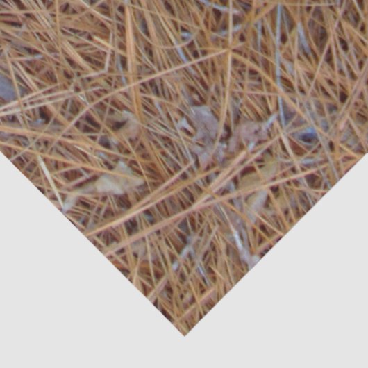 Roodbruine naalden van roodbruine pijnbomen, foto tissuepapier (Detail)