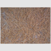 Roodbruine naalden van roodbruine pijnbomen, foto tissuepapier (Voorkant)