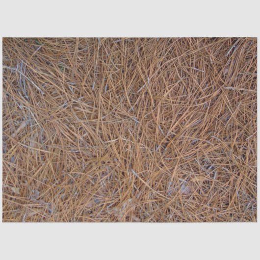 Roodbruine naalden van roodbruine pijnbomen, foto tissuepapier (Voorkant)