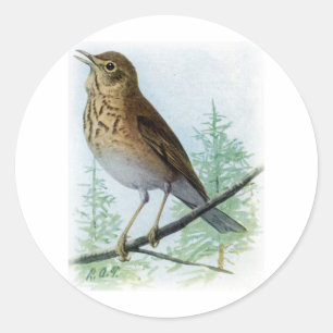 Roodbruine Ronde Sticker