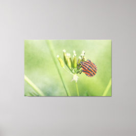 Roodbuik - nog één flesje doet geen pijn canvas afdruk