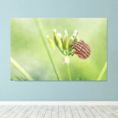 Roodbuik - nog één flesje doet geen pijn canvas afdruk (Insitu (Houten vloer))