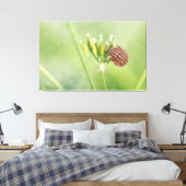 Roodbuik - nog één flesje doet geen pijn canvas afdruk (Insitu (Slaapkamer))