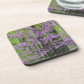 Roodbuikbomen in het hele lentesbloem bij Defiance Bier Onderzetter (Linkerzijde)