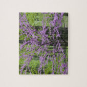 Roodbuikbomen in het hele lentesbloem bij Defiance Legpuzzel (Verticaal)