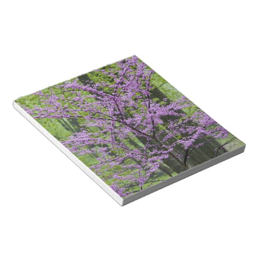 Roodbuikbomen in het hele lentesbloem bij Defiance Notitieblok (Schuin)