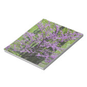 Roodbuikbomen in het hele lentesbloem bij Defiance Notitieblok (Linkerzijde)