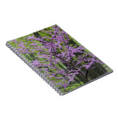 Roodbuikbomen in het hele lentesbloem bij Defiance Notitieboek (Rechterzijde)