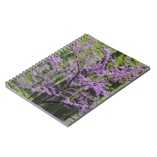 Roodbuikbomen in het hele lentesbloem bij Defiance Notitieboek (Linkerzijde)