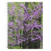 Roodbuikbomen in het hele lentesbloem bij Defiance Notitieboek (Voorkant)