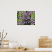 Roodbuikbomen in het hele lentesbloem bij Defiance Poster (Keuken)