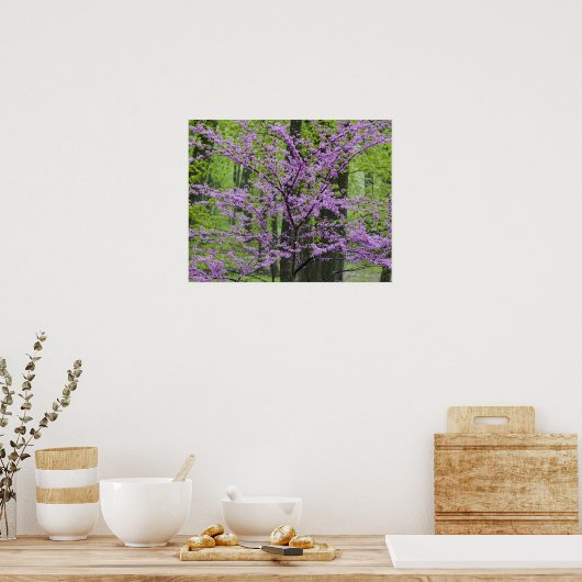 Roodbuikbomen in het hele lentesbloem bij Defiance Poster (Keuken)