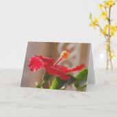 Roodbuikholte, gescand kaart (Gele Bloem)