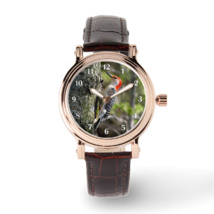 Roodbuikige Specht Witte Cijfers Horloge