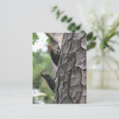 Roodbuikmannetjes en Briefkaart (Staand voorkant)