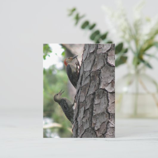 Roodbuikmannetjes en Briefkaart (Staand voorkant)