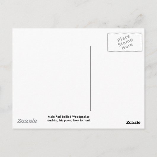 Roodbuikmannetjes en Briefkaart (Achterkant)