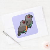 Roodbuikpapegaaienpaar Vierkante Sticker (Envelop)