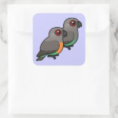 Roodbuikpapegaaienpaar Vierkante Sticker (Tas)