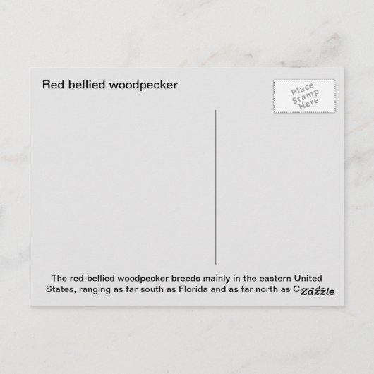 Roodbuikspecht Briefkaart (Achterkant)