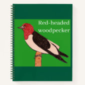 Roodbuikspecht Notitieboek (Voorkant)