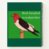 Roodbuikspecht Notitieboek (Achterkant)