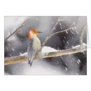 Roodbuikspecht schilderij originele vogelkunst