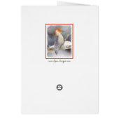 Roodbuikspecht schilderij originele vogelkunst (Achterkant)