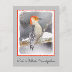 Roodbuikspecht schilderij originele vogelkunst briefkaart