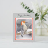 Roodbuikspecht schilderij originele vogelkunst briefkaart (Staand voorkant)