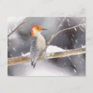 Roodbuikspecht schilderij originele vogelkunst briefkaart