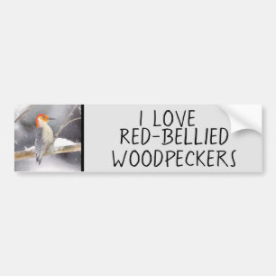 Roodbuikspecht schilderij originele vogelkunst bumpersticker