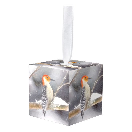 Roodbuikspecht schilderij originele vogelkunst decoratie (Voorkant hoekig)