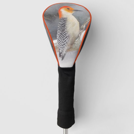 Roodbuikspecht schilderij originele vogelkunst golfheadcover (Voorkant)