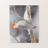 Roodbuikspecht schilderij originele vogelkunst legpuzzel (Verticaal)