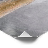 Roodbuikspecht schilderij originele vogelkunst perfect poster (Hoek)