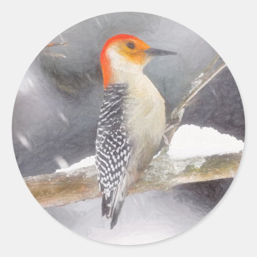 Roodbuikspecht schilderij originele vogelkunst ronde sticker (Voorkant)