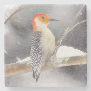 Roodbuikspecht schilderij originele vogelkunst stenen onderzetter