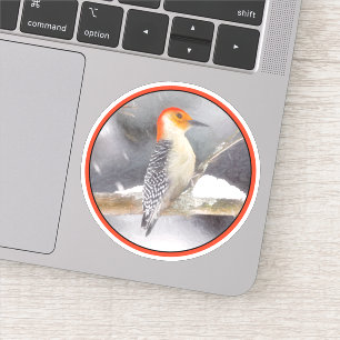Roodbuikspecht schilderij originele vogelkunst sticker