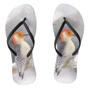 Roodbuikspecht schilderij originele vogelkunst teenslippers