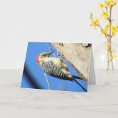 roodbuikspecht Wenskaart Kaart (Gele Bloem)