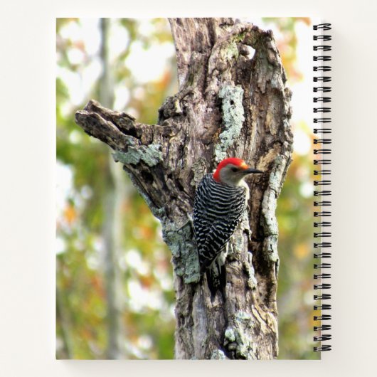 Roodbuikspiraal Notitieboek van specht (Achterkant)