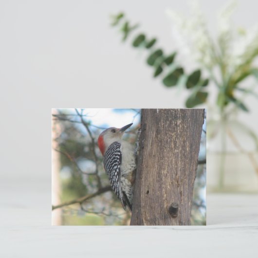 RoodbuikVrouw Briefkaart (Staand voorkant)